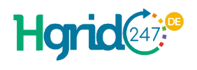 HGrid247 DE Logo